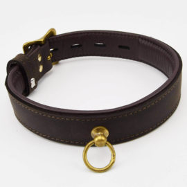 Bound – Nubuck Leather Choker And ‘o’ Ring (gold Metal Detail)