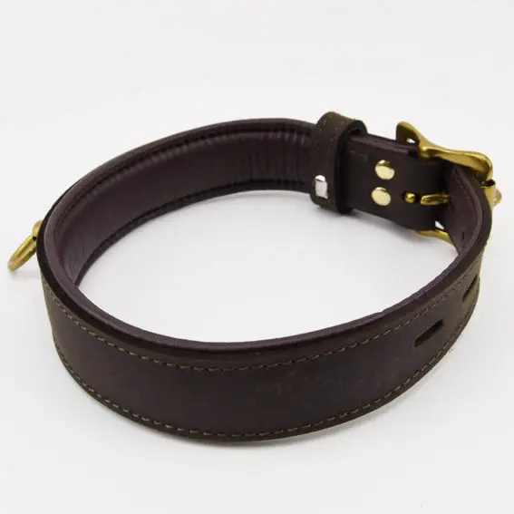 Bound – Nubuck Leather Choker And ‘o’ Ring (gold Metal Detail)