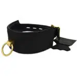 Bound Noir - Nubuck Leather Collar And 'o' Ring (gold Metal Detail)