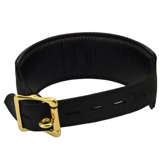 Bound Noir – Nubuck Leather Collar And ‘o’ Ring (gold Metal Detail)