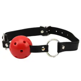 Bound To Please – Breathable Ball Gag (black & Red)