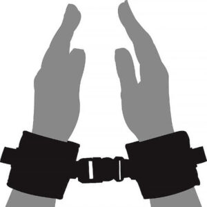 Loving Joy - Beginners Wrist Restraints (bondage - Restraints)
