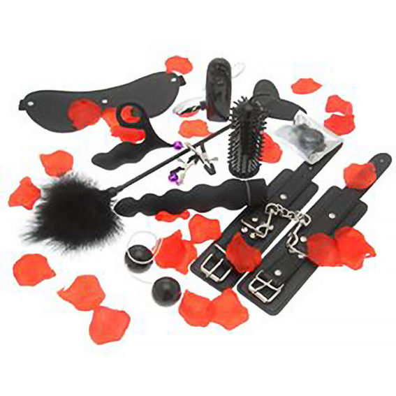Nmc Satisfaction – Toy Joy Lovetoy Starter Kit (vibrators – Vibrator Kits)